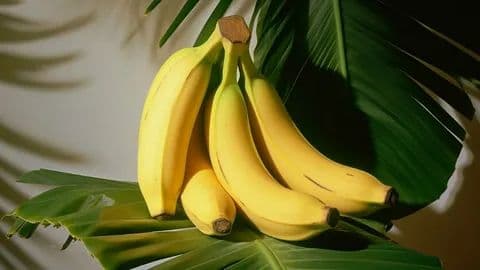 Bio Banane