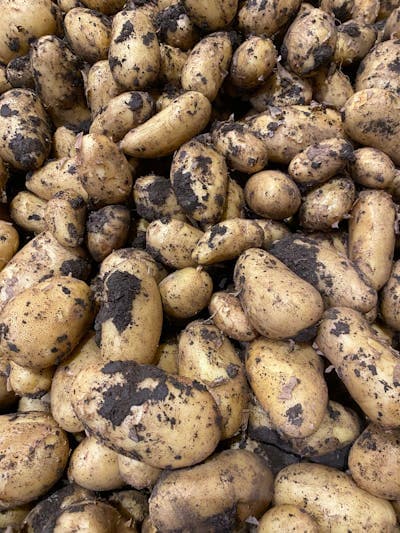 Kartoffeln