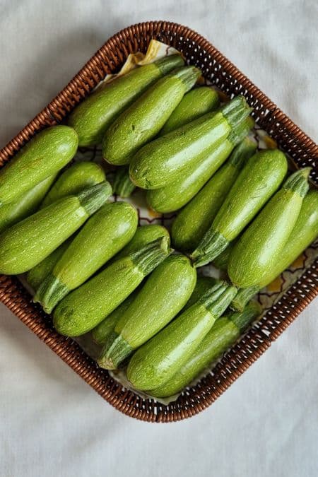 Zucchini