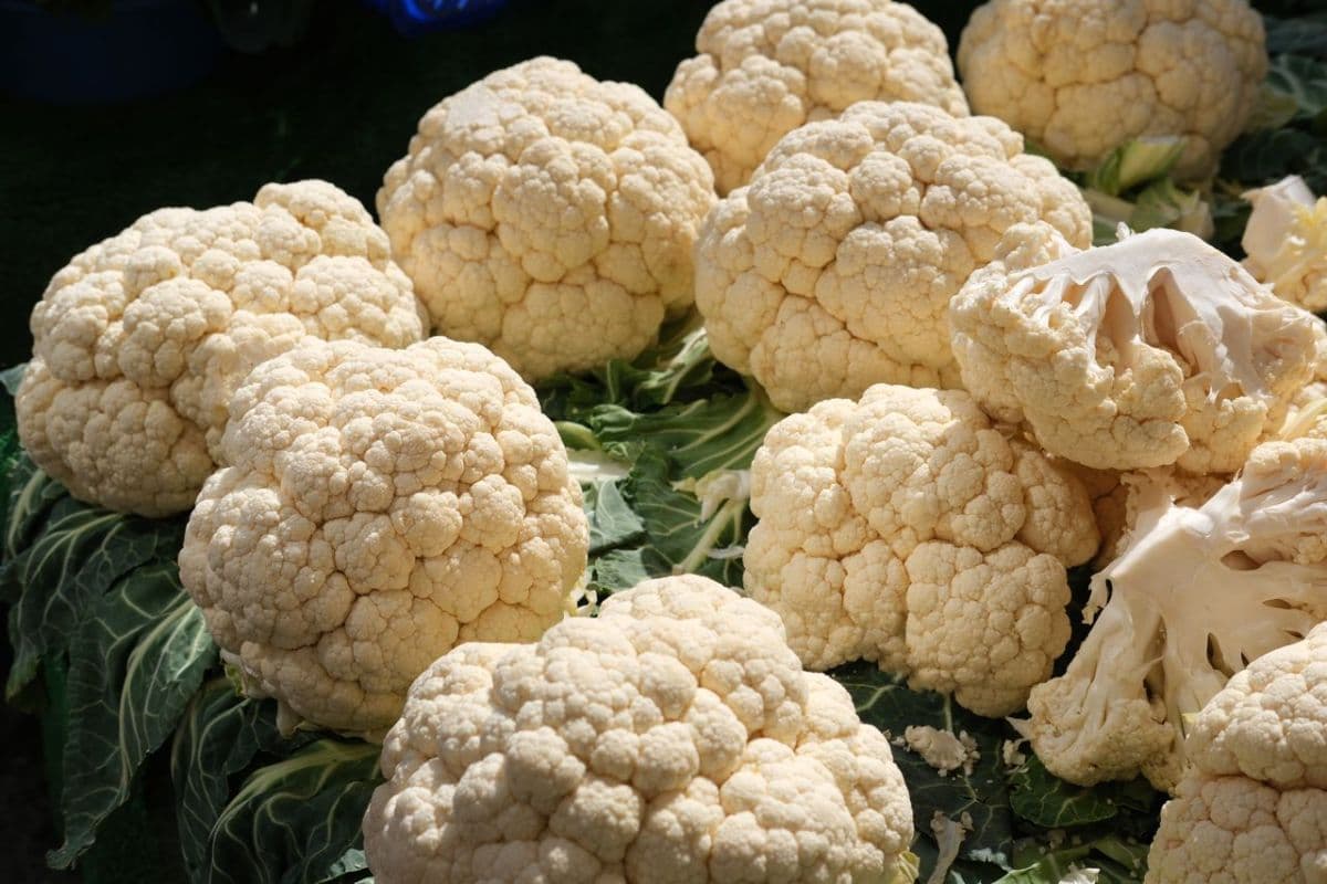 Blumenkohl