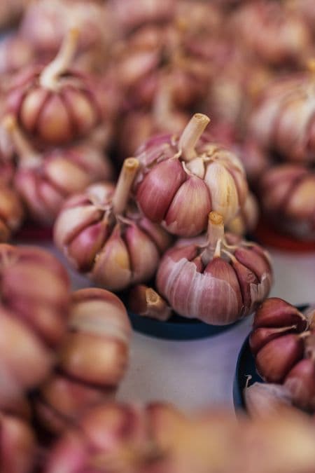 Knoblauch