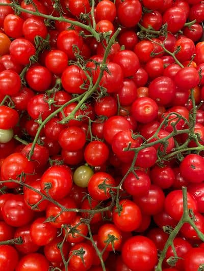 Minitomaten / Kirschtomaten