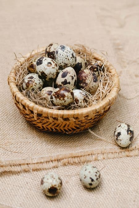 Frische Eier