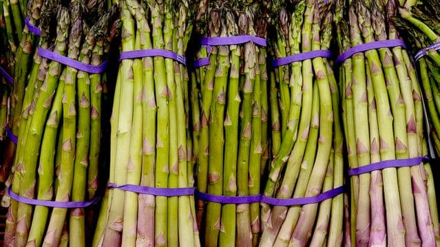Spargel „Beelitzer“