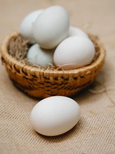 Frische Eier