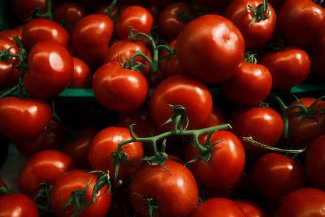 Tomaten